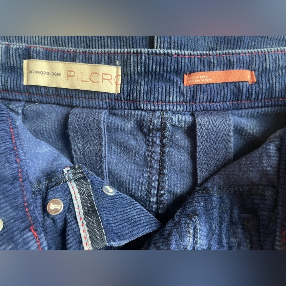 Pilcro Skirt Size 4 Blue Corduroy Button Front Fall Mini Casual Chic - Picture 6 of 7